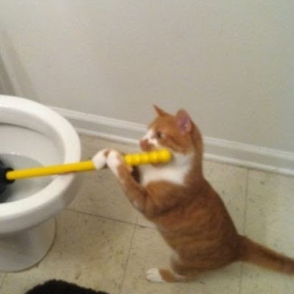 Meet your Posher, Eddie